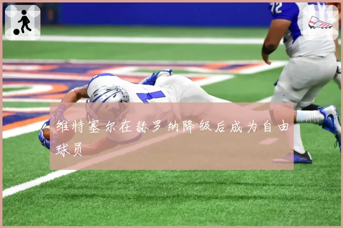 维特塞尔在赫罗纳降级后成为自由球员