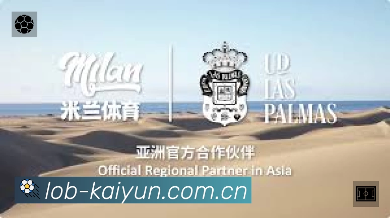 开云平台展示图
