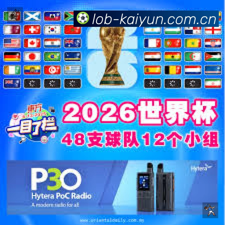 结构优化认证展示
